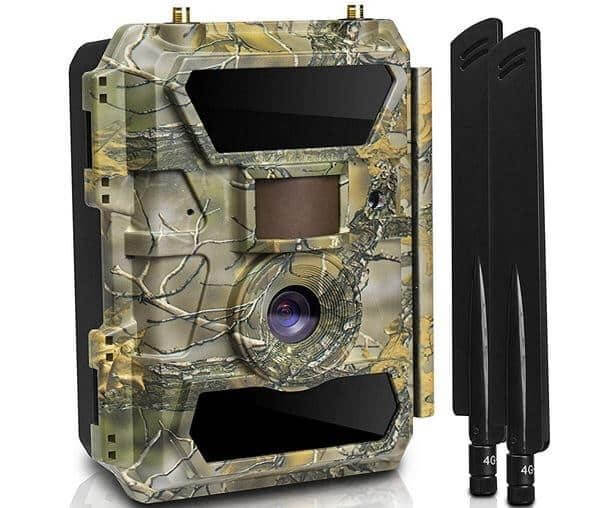 How Does A Cellular Trail Camera Work?