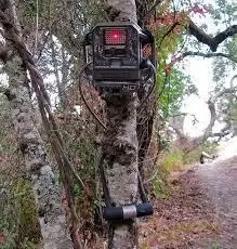 cellular trail camera