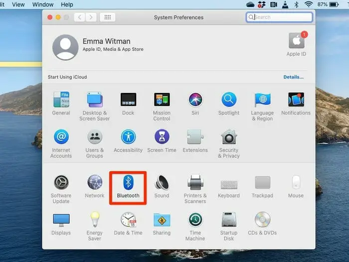 bluetooth setting on apple laptop
