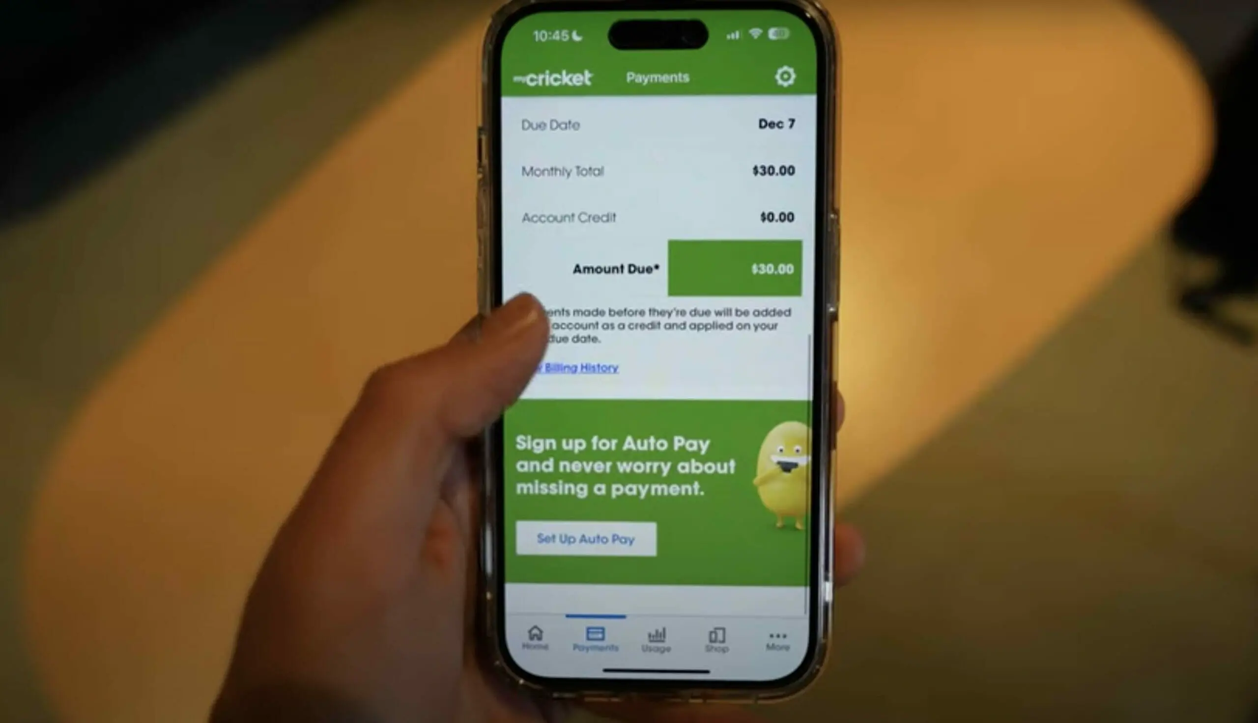 cricket wireless payment page on a phone