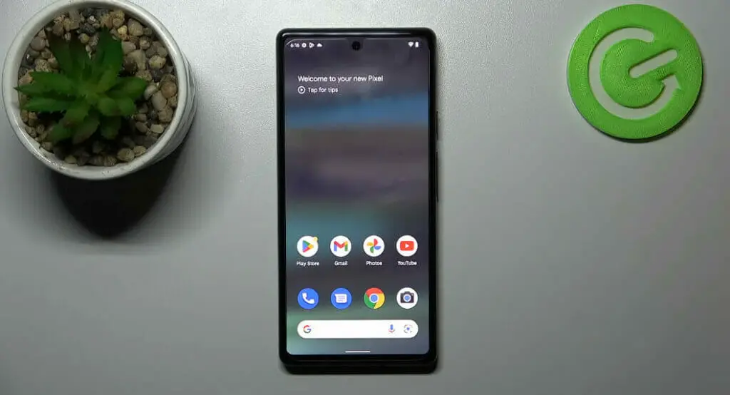 top shot of a Google Pixel 6a phone with cactus plant and power icon