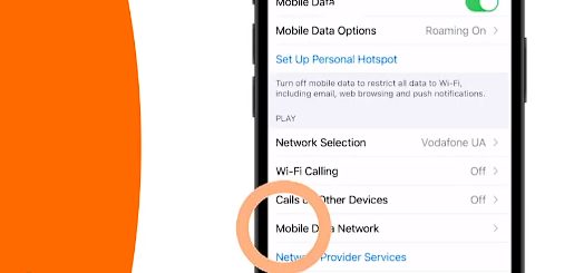 A iphone setting circling the Mobile Data Network option