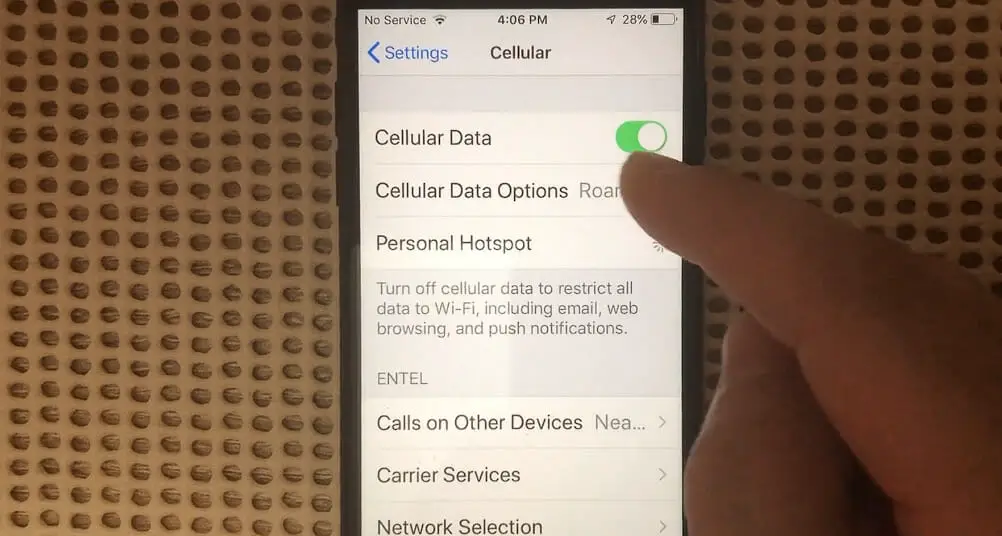 enable Cellular data on the phone