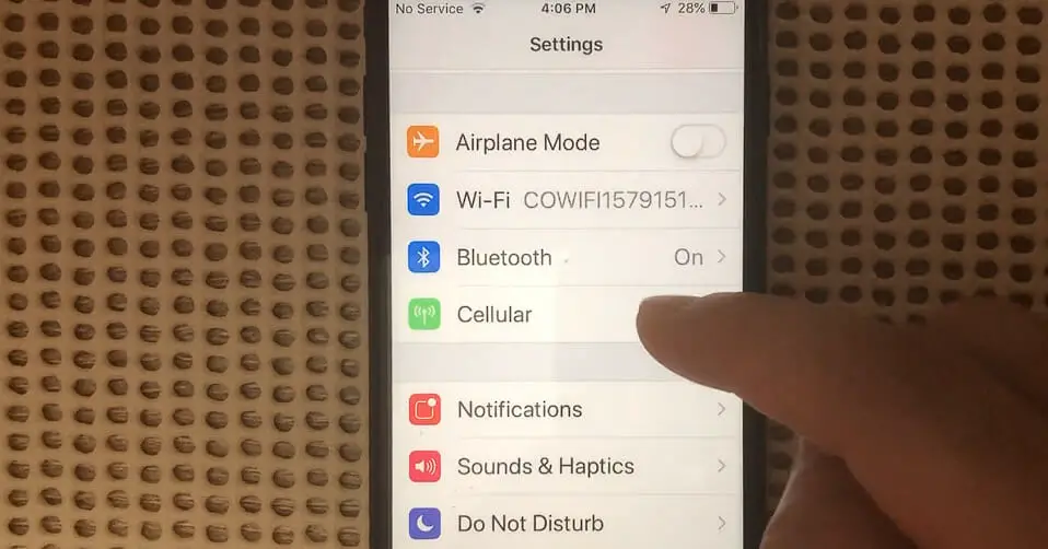 scroll down to tap on Cellular setting on the phone