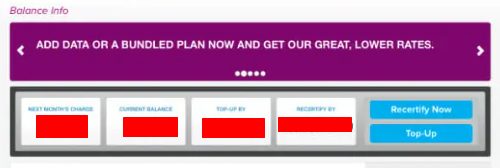 A screenshot of a page bundled mobile data plan selection to recertify or top up