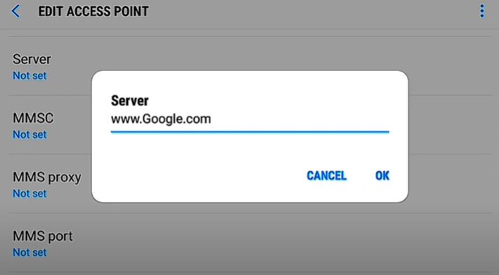 www.google.com as APN server