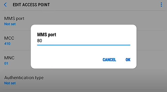 80 as MMS port for APN setting