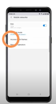 A phone's mobile network's access names setting