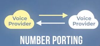 Voice provider and number porting diagram