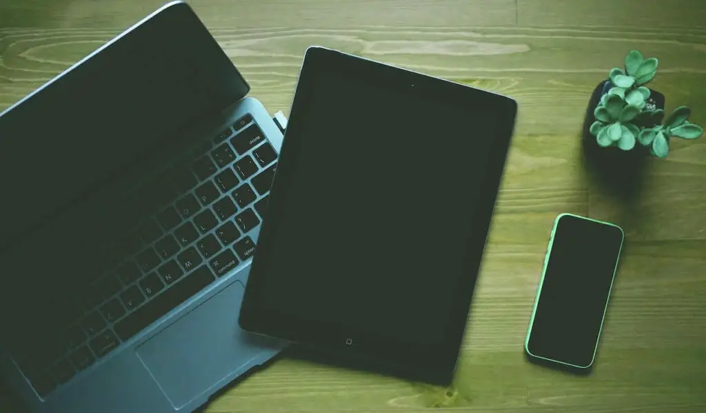 A laptop, tablet and phone on a wooden table with cactus plants on the side