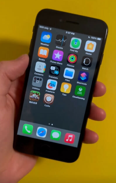 A person is holding up an iPhone with a lot of app's icons on it
