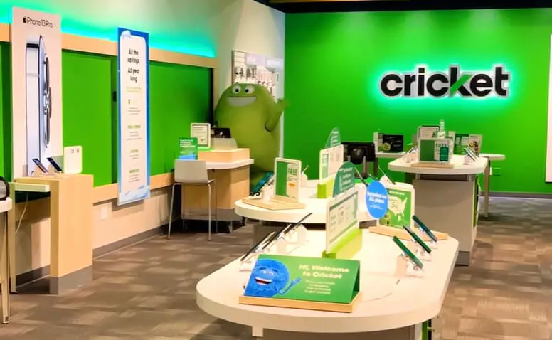 Cricket office in green